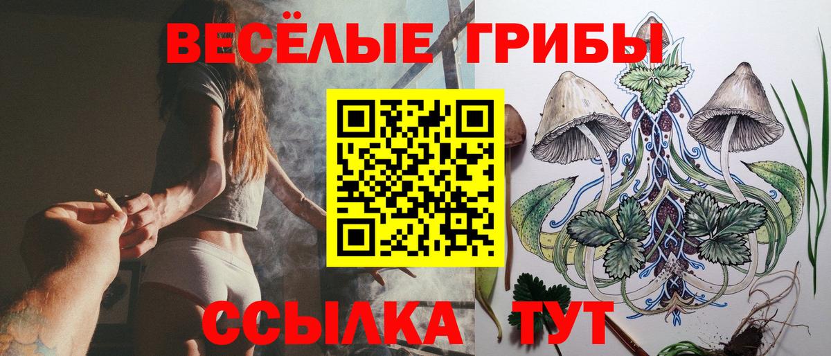 Галлюциногенные грибы мицелий  Псилоцибиновые грибы Psilocybine cubensis  Свободный  Вход с VPN 