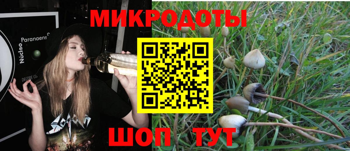 Галлюциногенные грибы мицелий Свободный